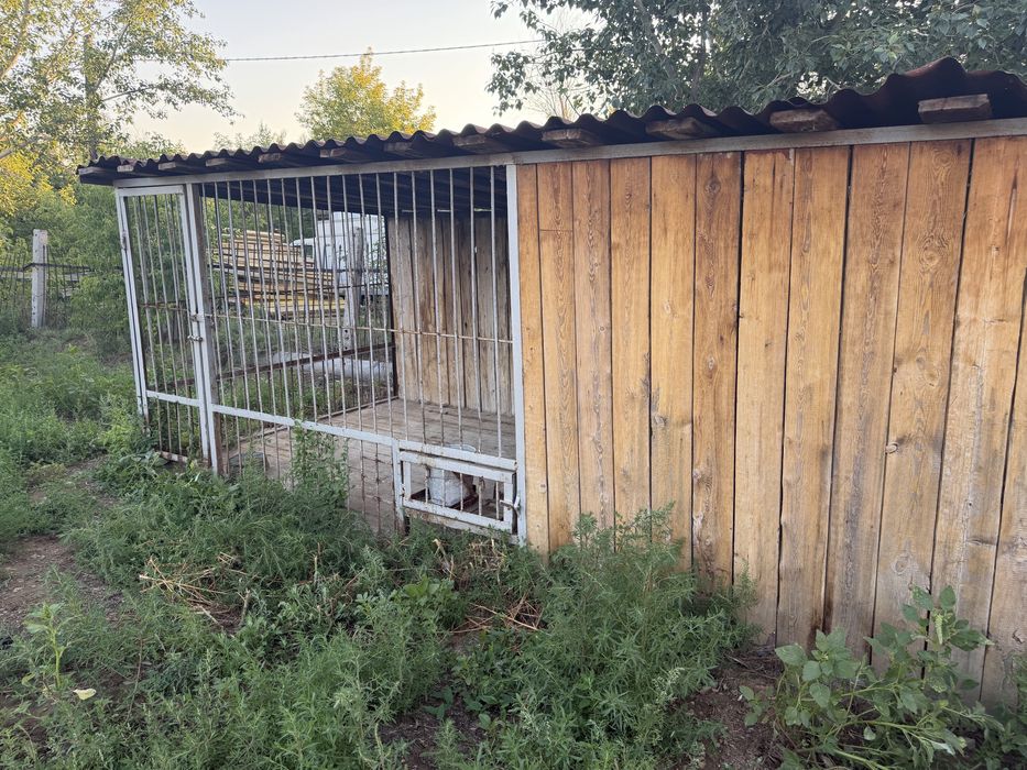 Продам вольер для собаки