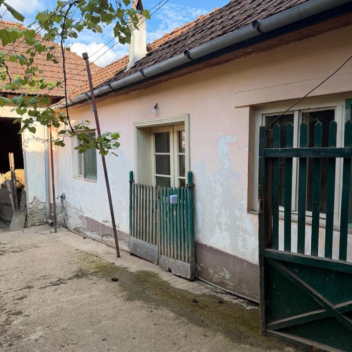 Casa cu gradina de vanzare