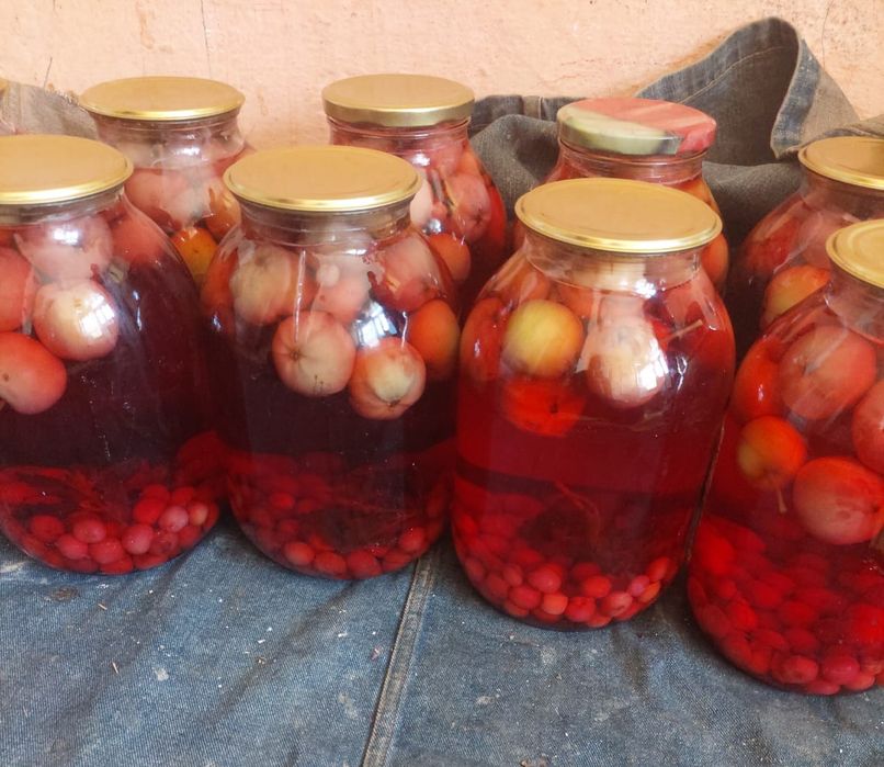 Домашний компот Үй компоты