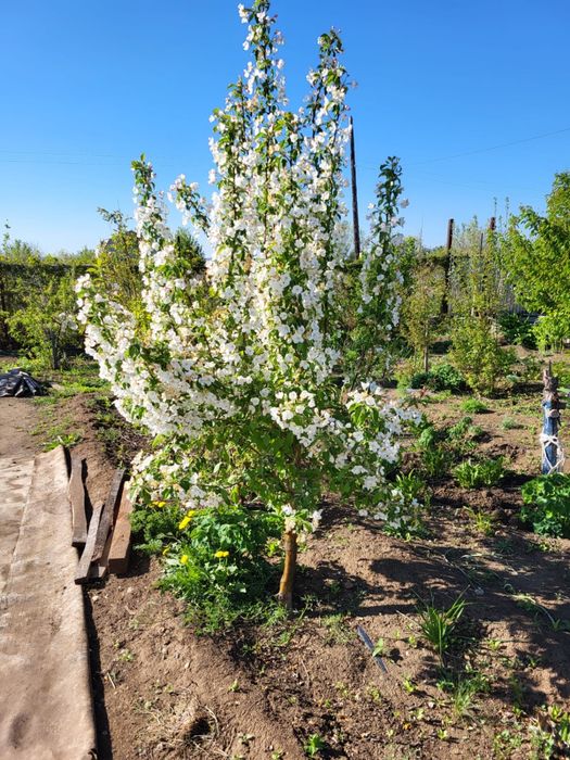 Продам дачу на Саздинском водохранилище