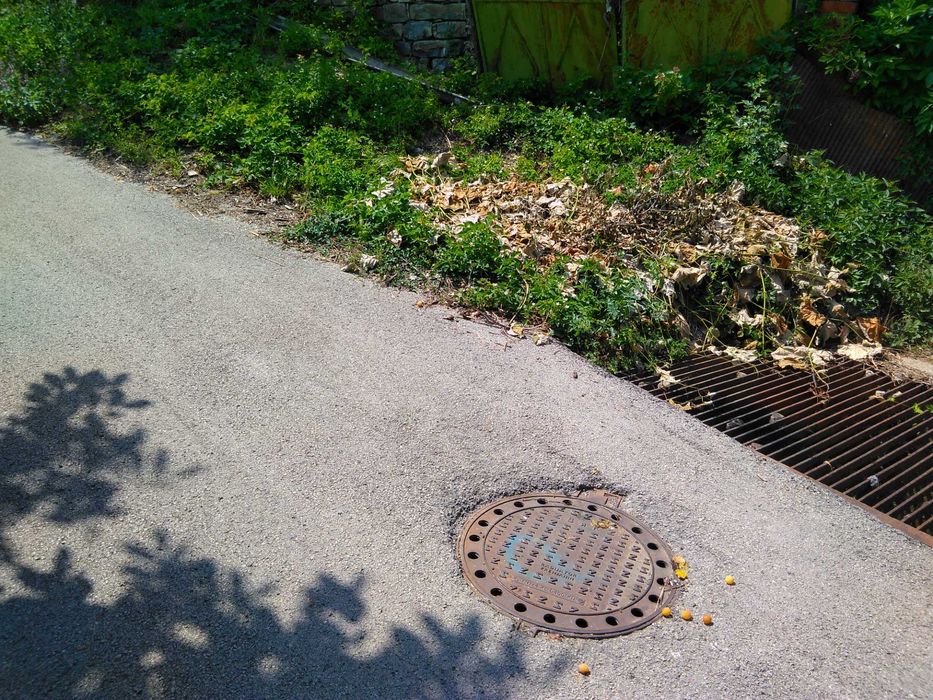 Продава се Парцел в с. Шипково, Област Ловеч - 1321 кв.м за 19 €/кв.м - Снимка #4