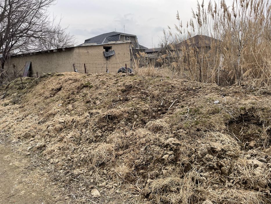 Навоз көң Тараз қаласы