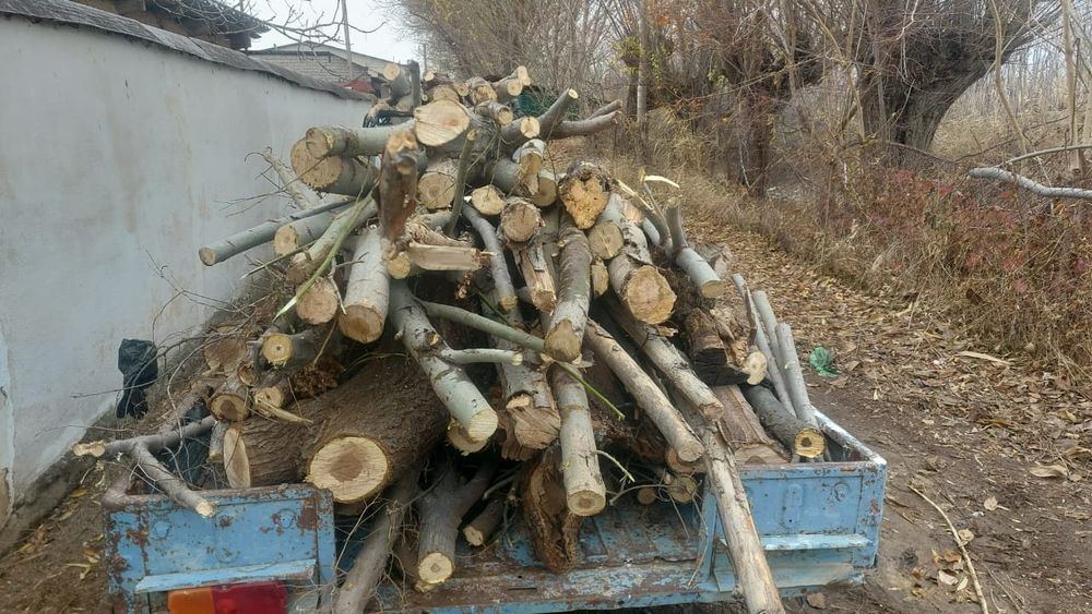 Отинлар бор хархил турдаги Расимдагидан бошка коп