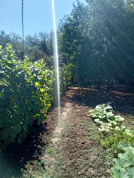 Продава се Къща в с. Ясен, Област Плевен - 70 кв.м за 1329 €/кв.м - Снимка #2