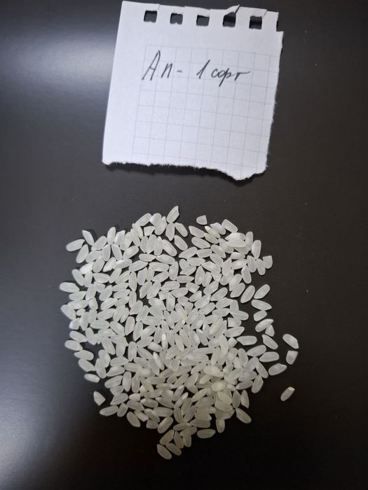 Оптом Рис с Доставкой Бесплатно