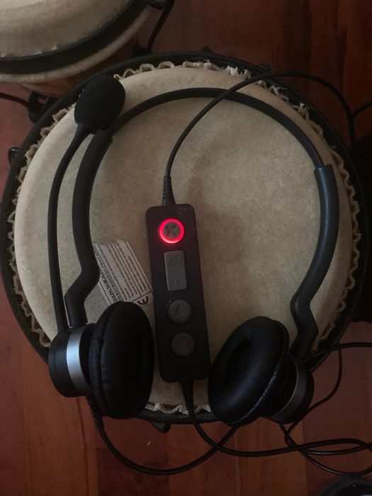 Casti cu microfon Jabra Biz 2300 Duo