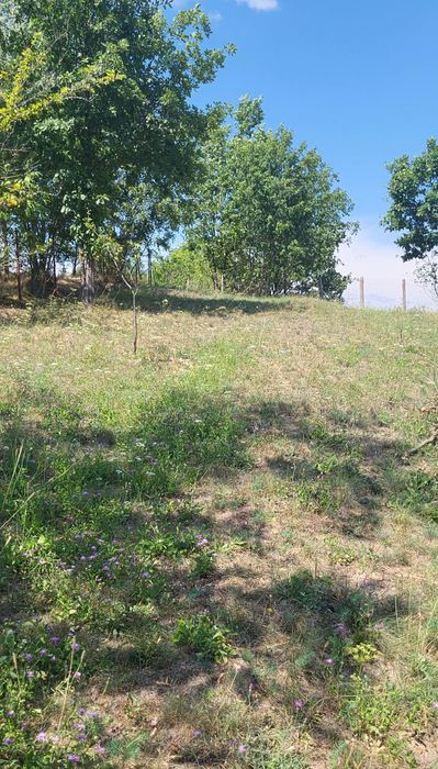 Vând teren 3231 m²