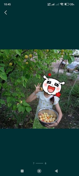 Срочно!!. Жер жай сатылады. Бахасы келисимли