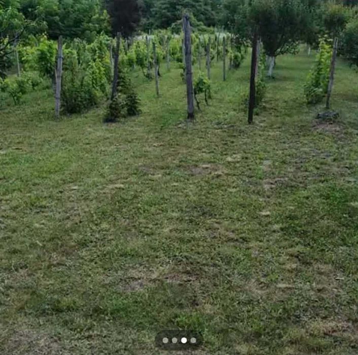 Продава се Къща в Свищов - 30 кв.м за 238 €/кв.м - Снимка #1