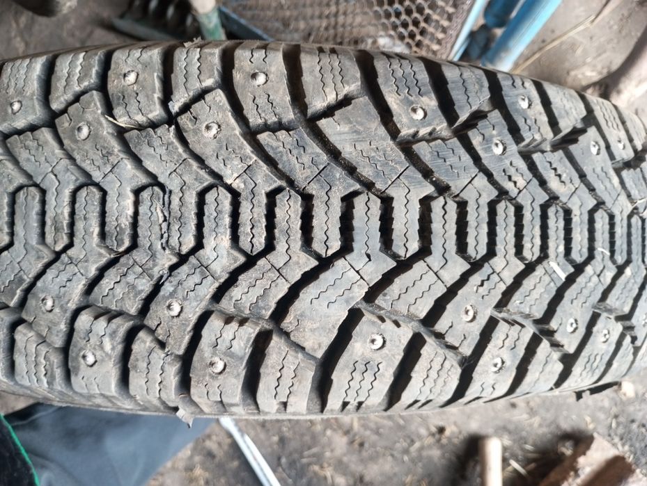 Кшги балон Кам юурган холати жуда яахши сакланган