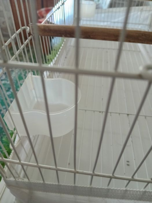 Большая клетка для птиц.