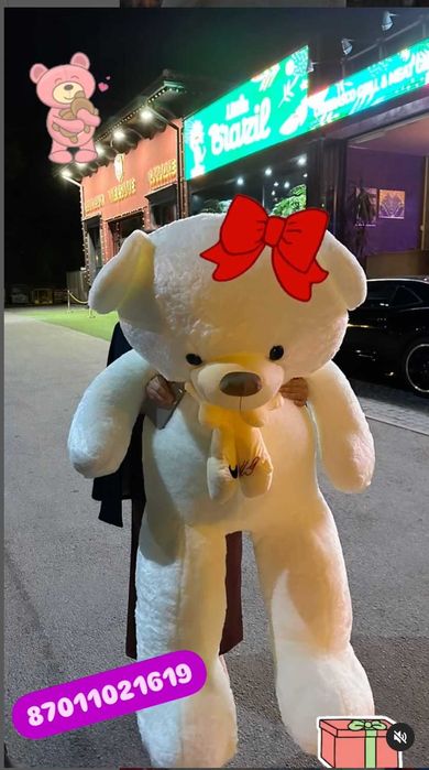 Большие мишки в Алматы