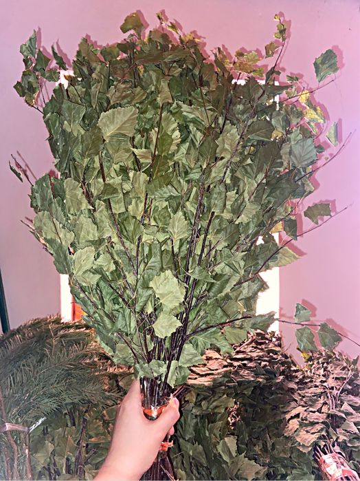 березовые, пихтовые веники