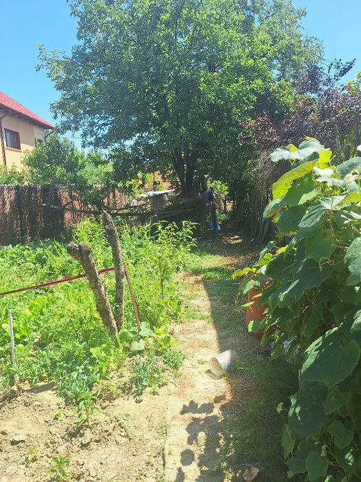 Teren si casa Curtea de Arges