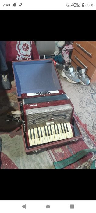 acordeon Timiș vând