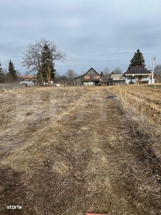 Teren extravilan de vanzare – Dangau Mare (dupa Gilau)