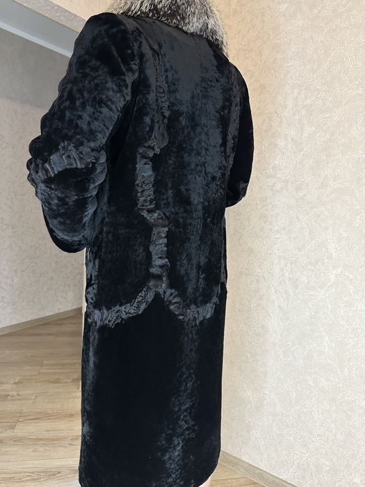 Шума цигейка/писец