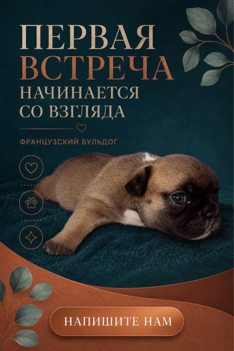 Шикарные яркие девочки