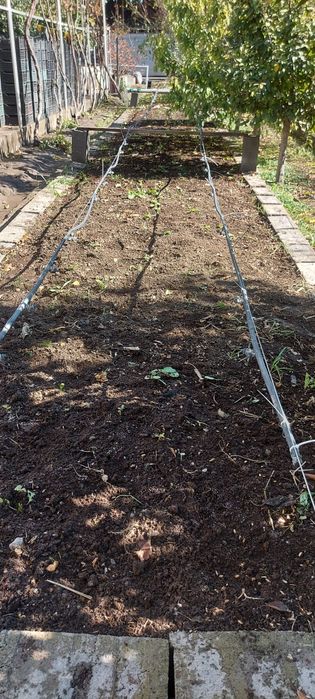 Biogumus Биогумус