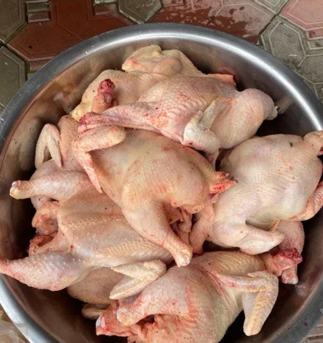 Продам мясо бройлеров