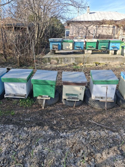 Vand familii de albine