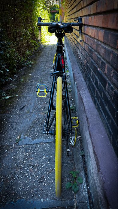 Cursiera Everlast | Shimano | Negru / Galben