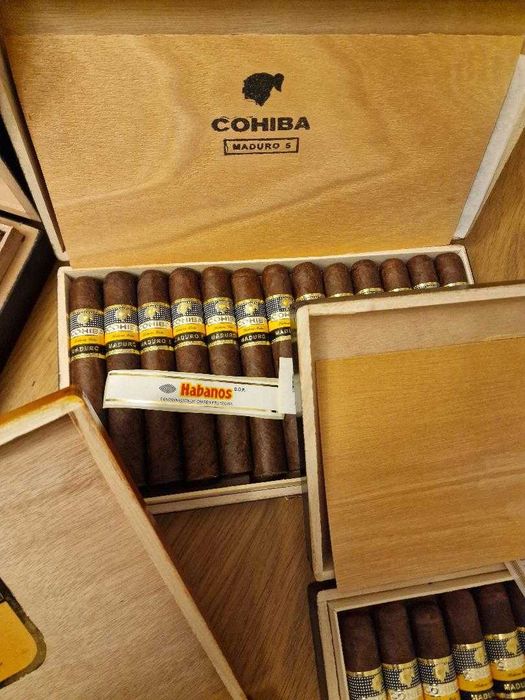 Trabucuri : Cohiba Esplendidos, Cohiba Piramides si Cohiba Maduro .