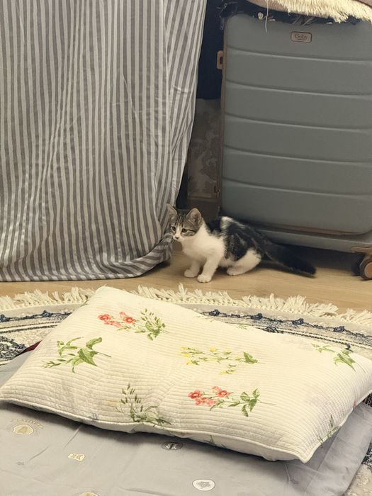 Otdam xadyaga beraman 2 oyli qiz bola toptoza