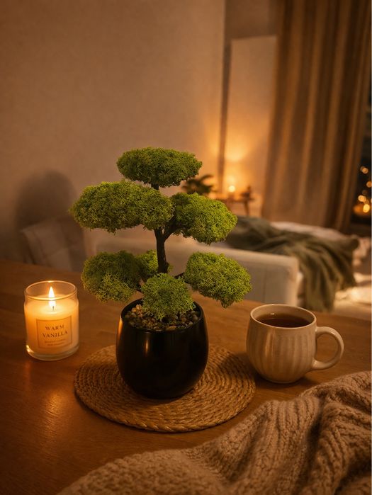 Bonsai cu licheni 35 cm