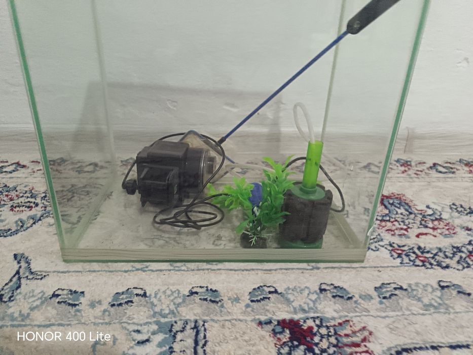 Аквариум со всеми  условиями