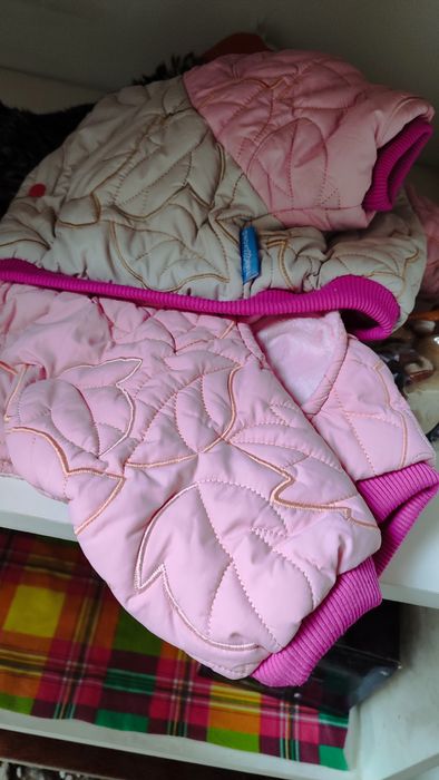 Одежда для собак