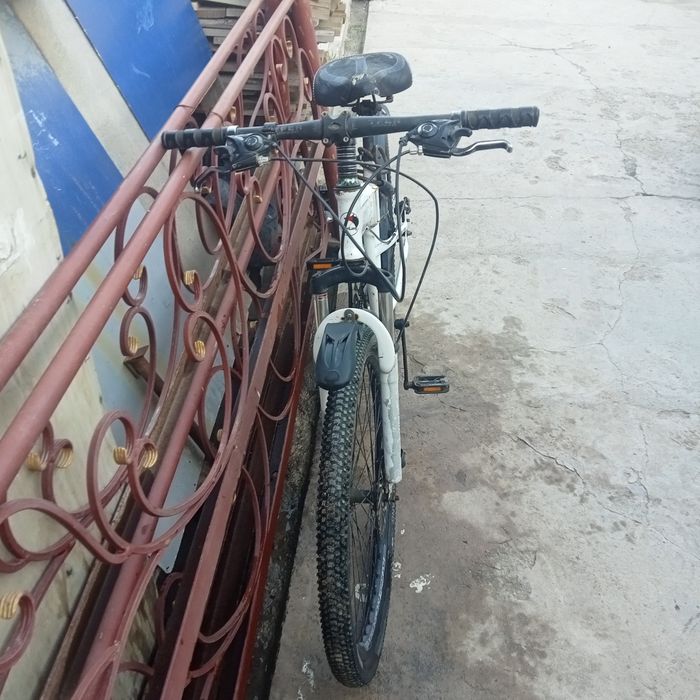 Velik sotiladi tezda