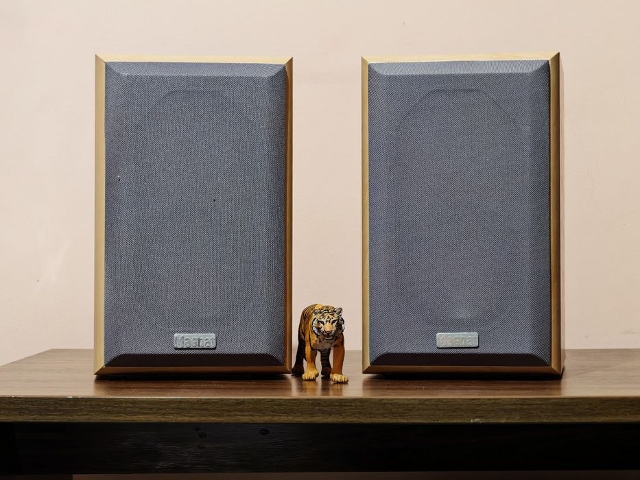 Magnat Motion 990 SET. Boxe raft superbe. Sunet fin, nemțesc. Preț fix