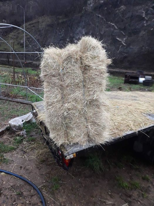 Бали Сено за животни.