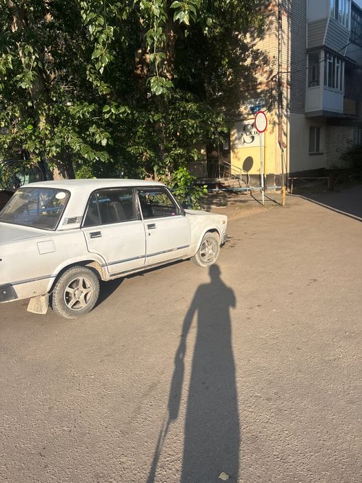 Продам тогр есть