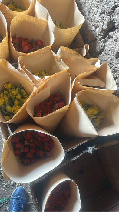 Продам тюльпаны на 8 марта .