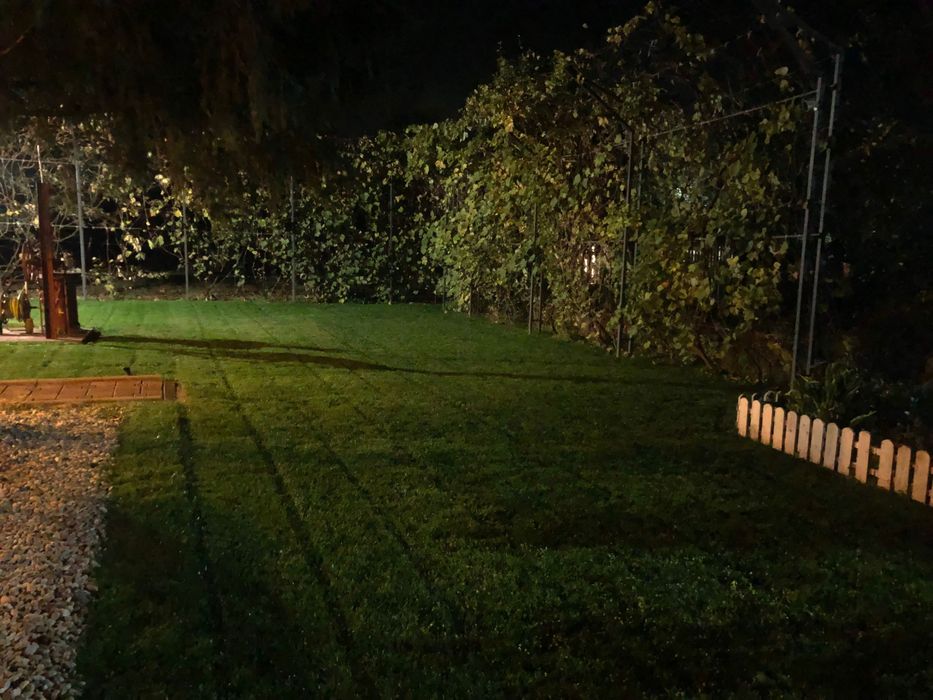 Amenajare curte gradina gazon Bucuresti Ilfov Giurgiu