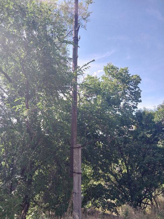 Столб ЛЭП дерево 1 штука.