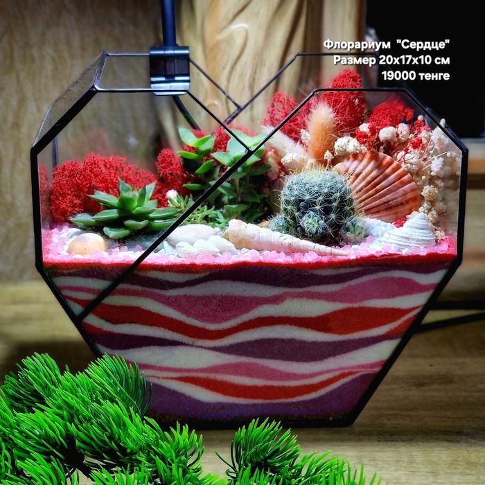 Флорариум, суккуленты