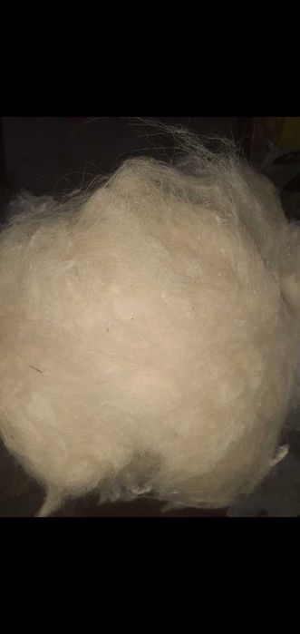 Lana de oaie  scarmanată ideala izolatie cabsna rustica