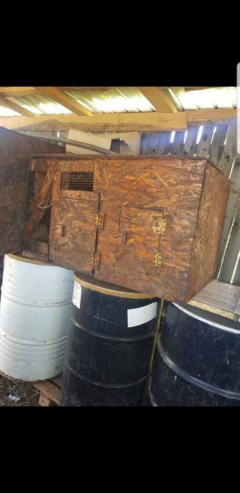 Vand cotet ptr iepuri