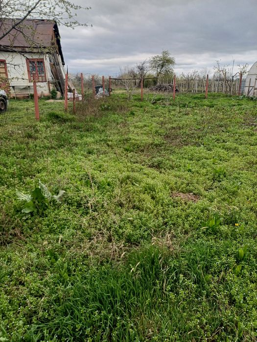 Vând teren intravilan 1000m