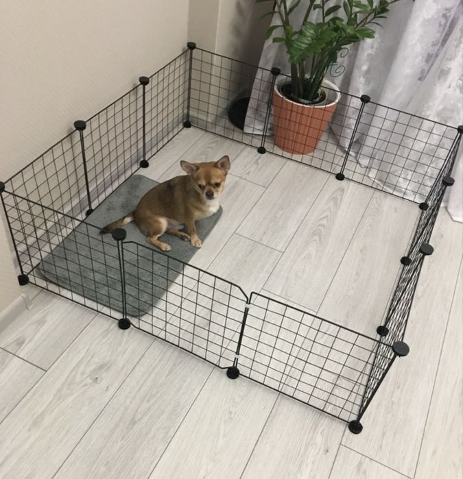 Вольер для щенков котят