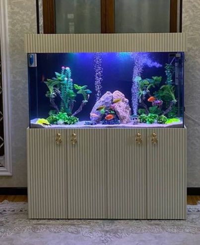 Аквариум Узбекистан заватской