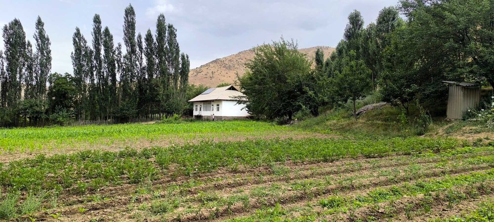 Сотилади. Экин экиш, чорвачилик ва дам олиш учун қулай ер