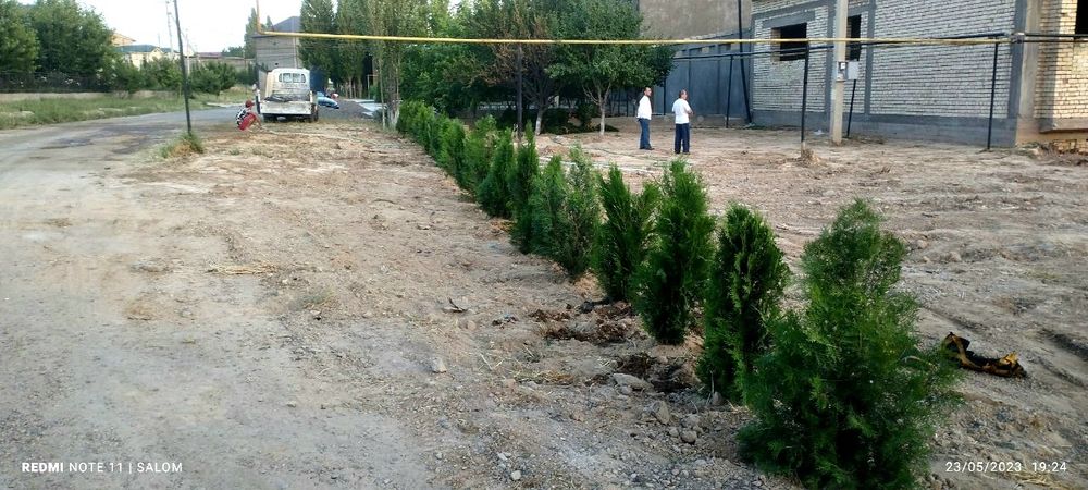 Арчалар бор узбекистон бойлаб доставка кберилади.
