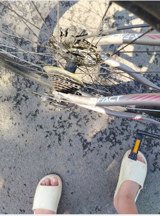 Bicicleta xfact camino