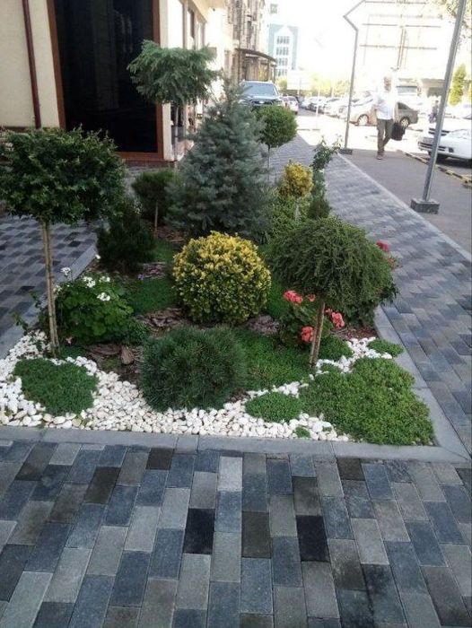 Газон.Ландшафт.Арча уход ва Декаративный Дарахтлар