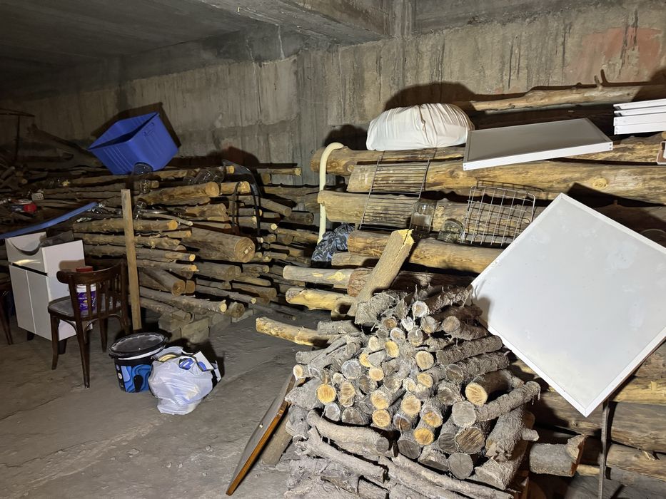 Tosin Sosna sotiladi