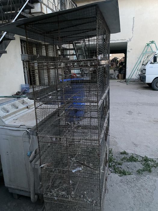 Клетка для птиц ручная работа